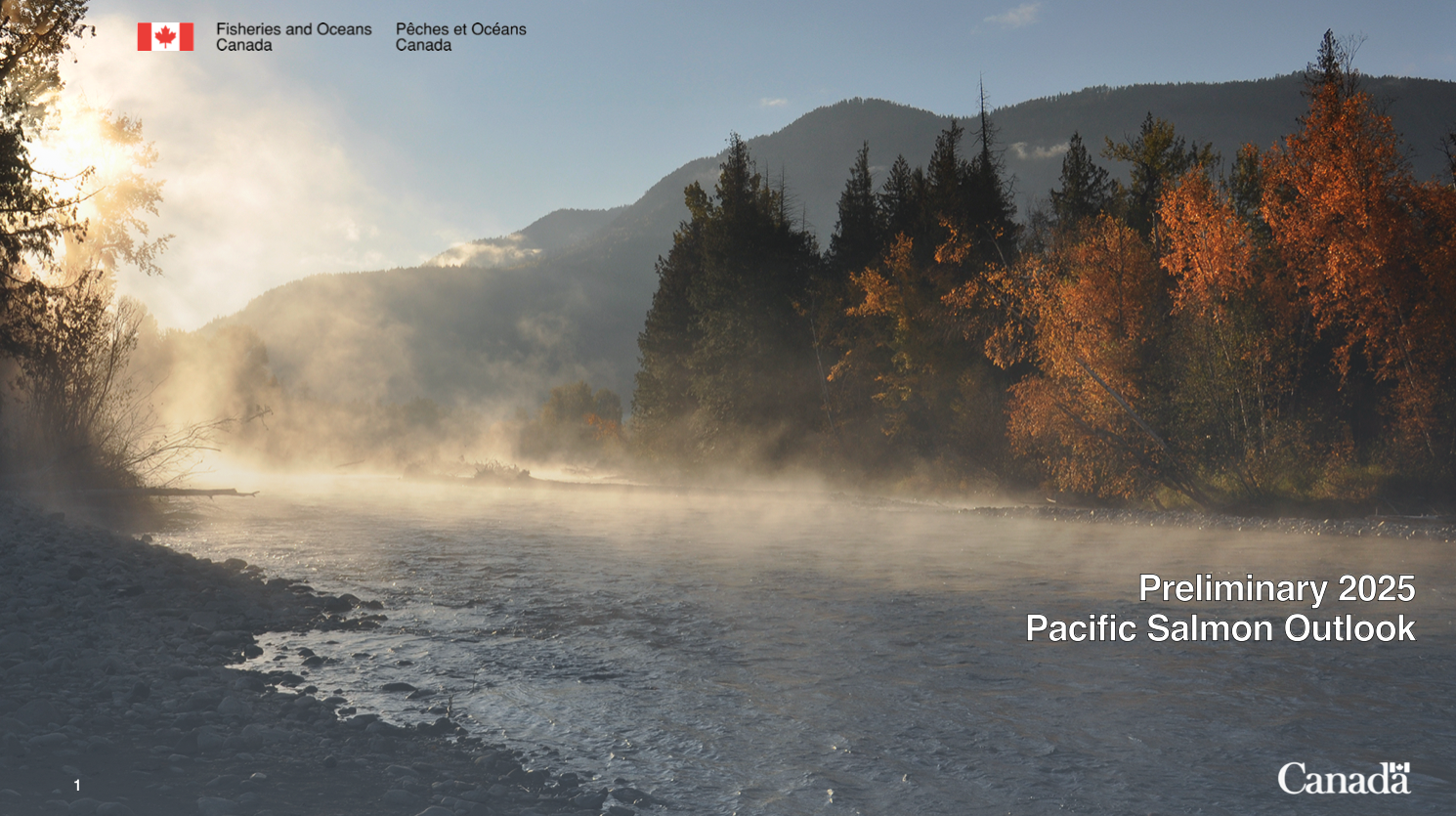 Automated salmon outlook report example